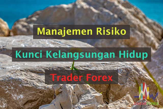 Manajemen Risiko Kunci Kelangsungan Trader HOTFOREX